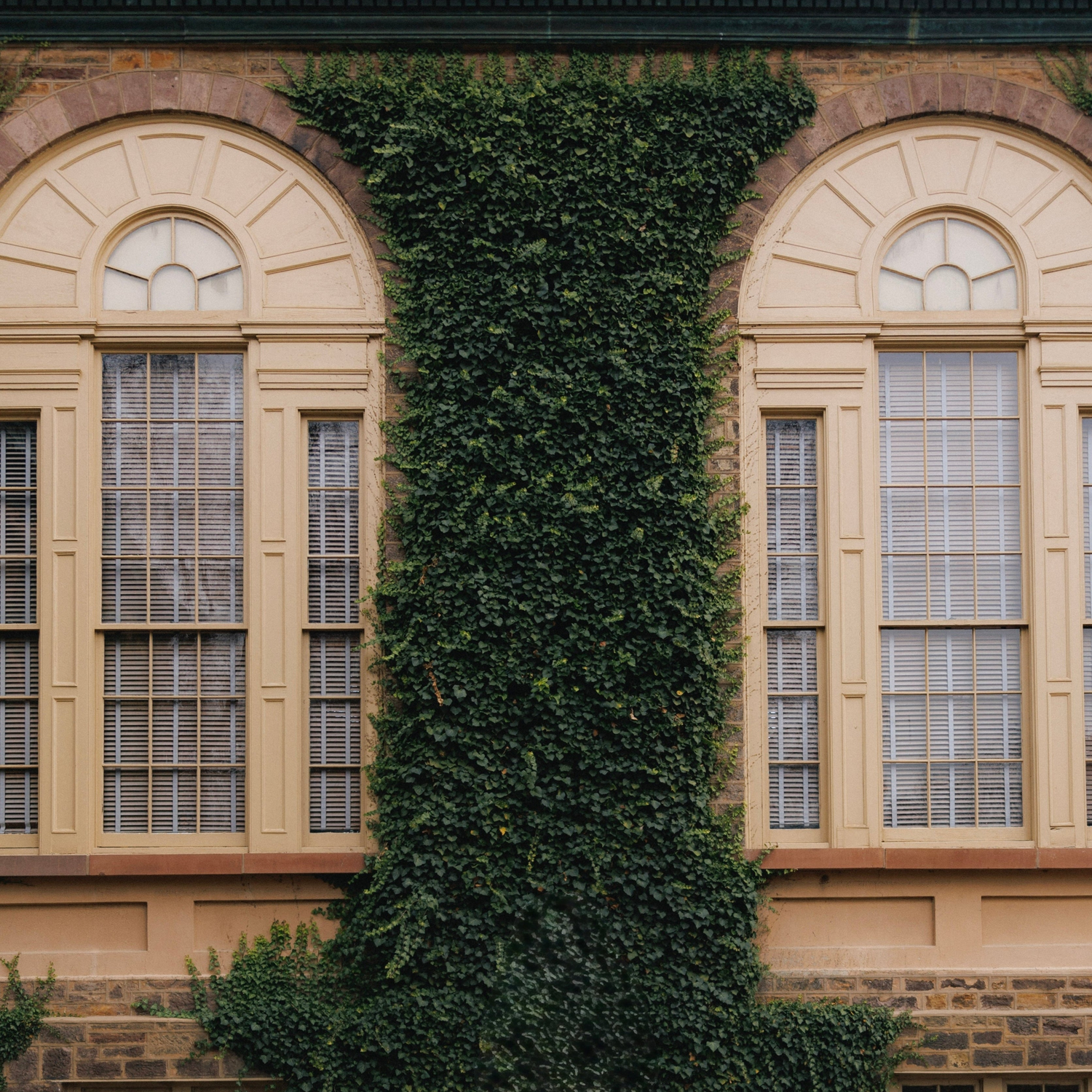 THE COLLEGIATE COLLECTION