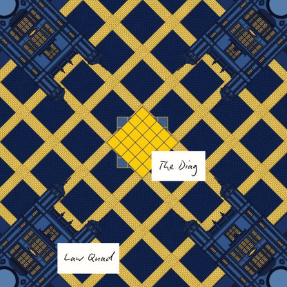 THE ANN ARBOR SCARF