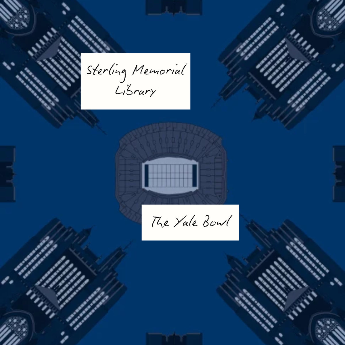 THE NEW HAVEN BULLDOG SCARF